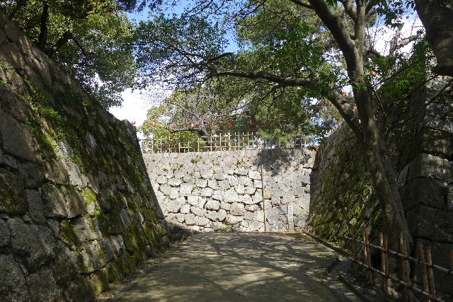 DSC03969.JPG