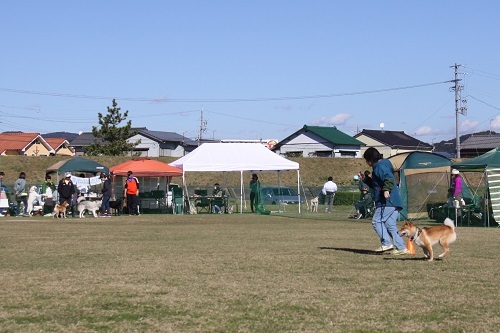 IMG_4112.JPG