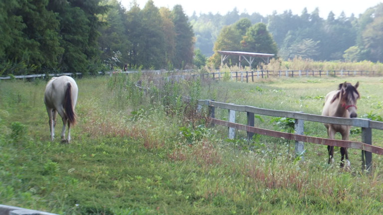 DSCF2964.JPG