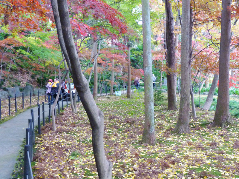 hondoji-030w.jpg