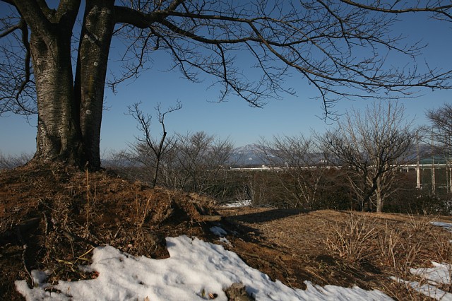 0223-4.jpg