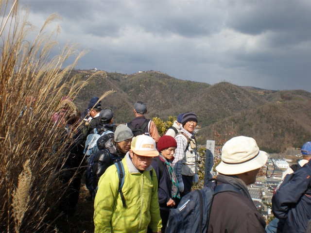 P1294422-1.jpg