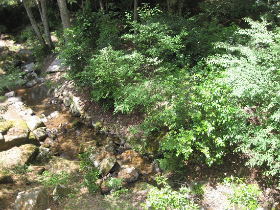 IMG_1353.JPG