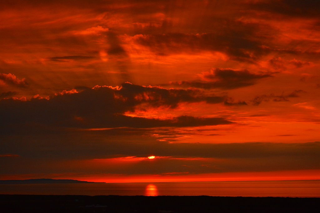 DSC_0168.jpg