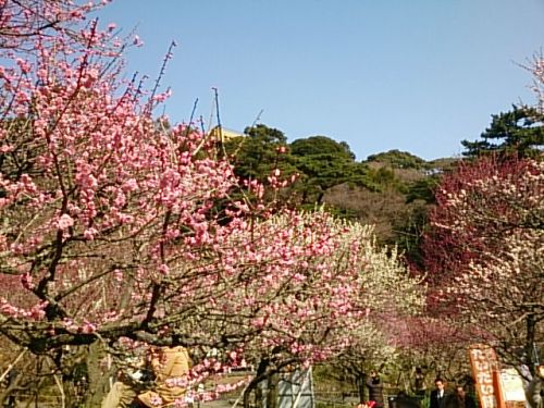 20150228  DSC_0001.jpg