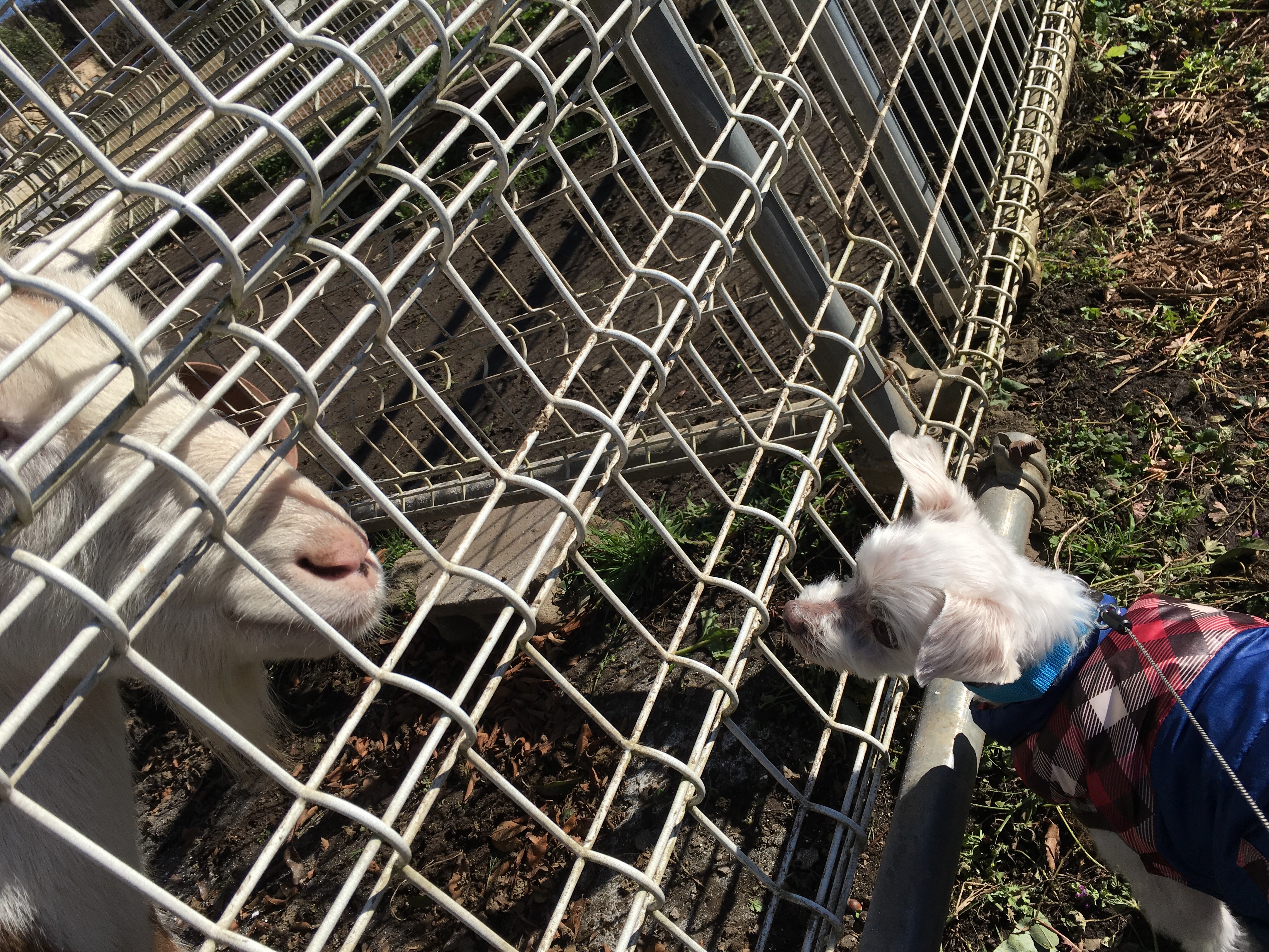 201511272035_0948_iphone.jpg