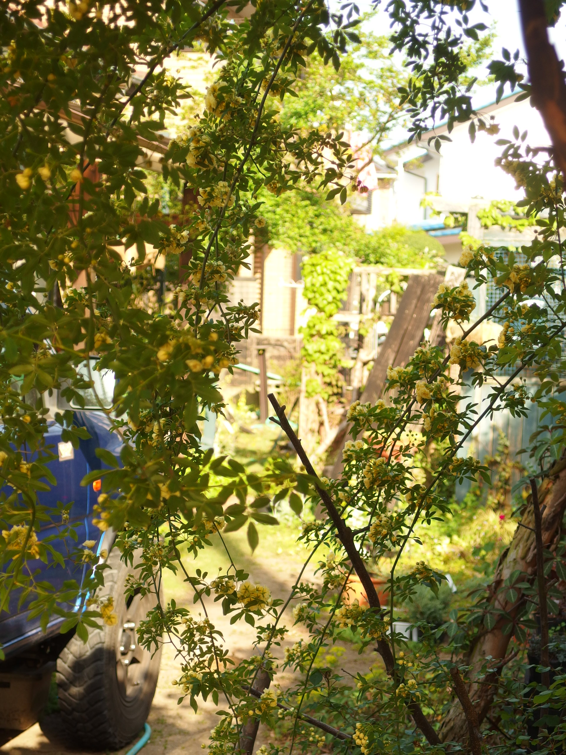 2015-05-01 14.59.32.jpg