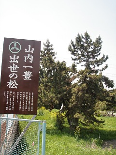 P4290072.jpg