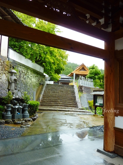 6－5－42番仏木寺（ぶつもくじ）.JPG