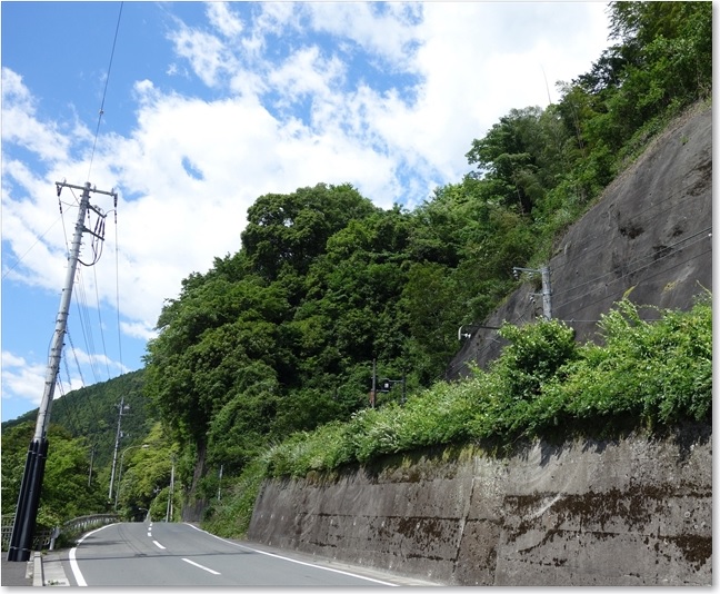 18右には身延線