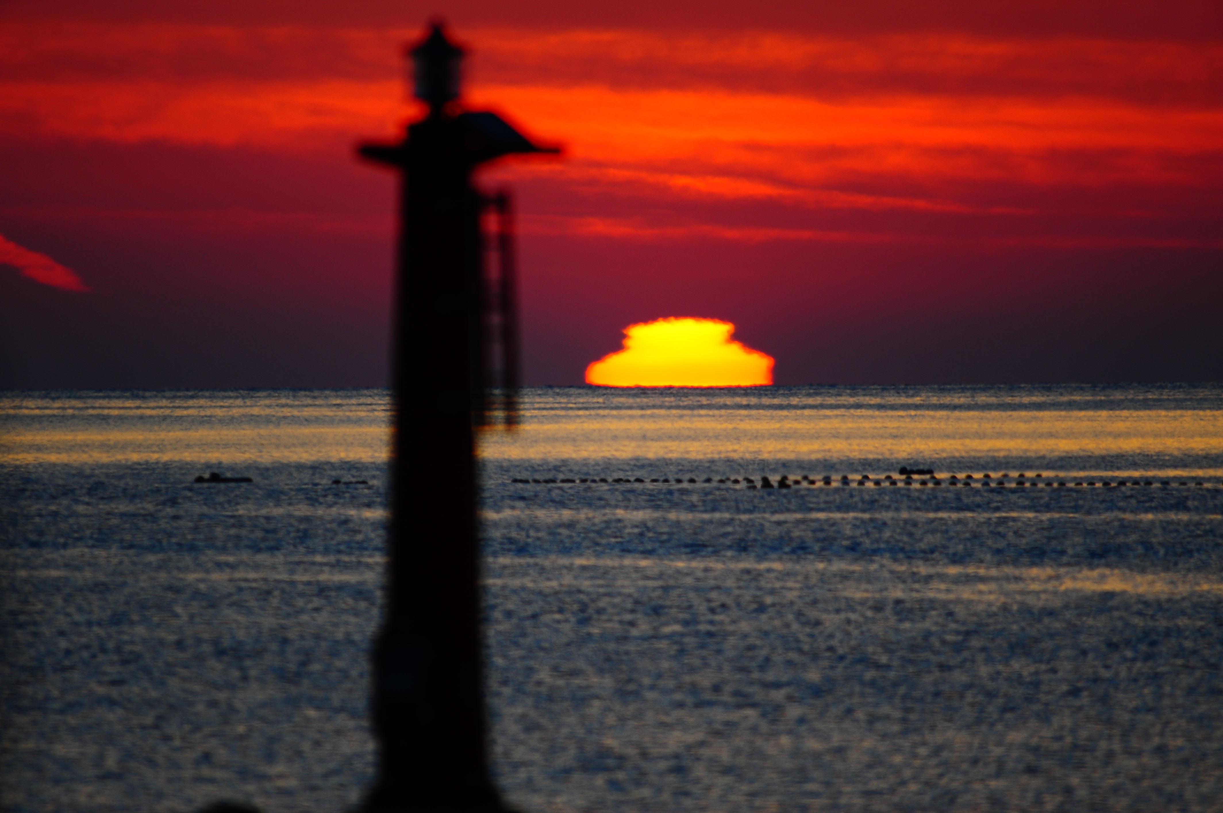 DSC_5661.JPG