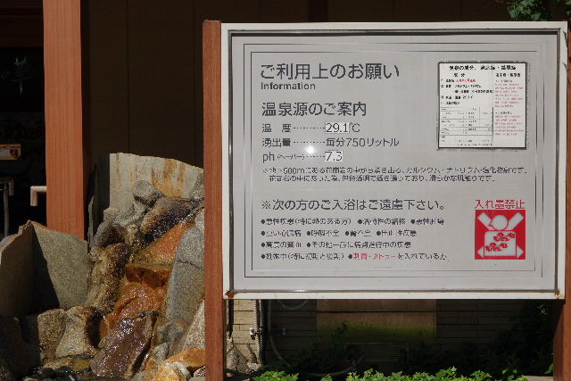 DSC04987.JPG