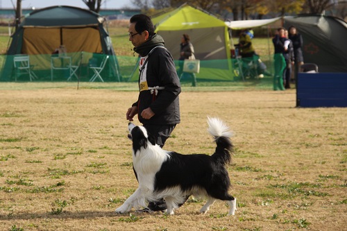 IMG_4628.JPG