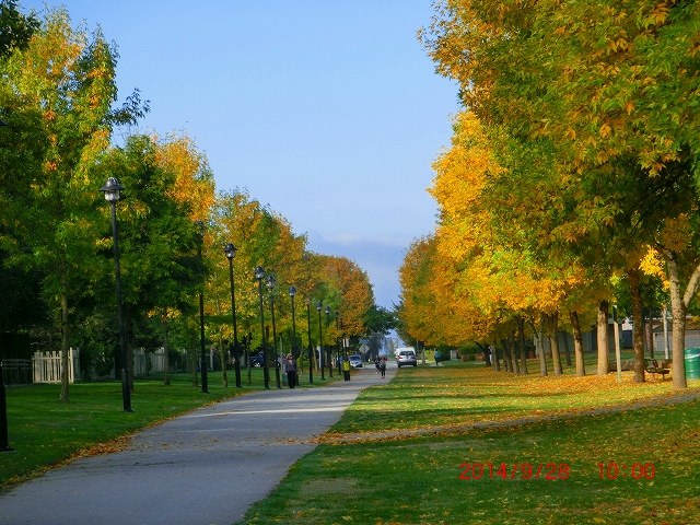 1028-2.jpg