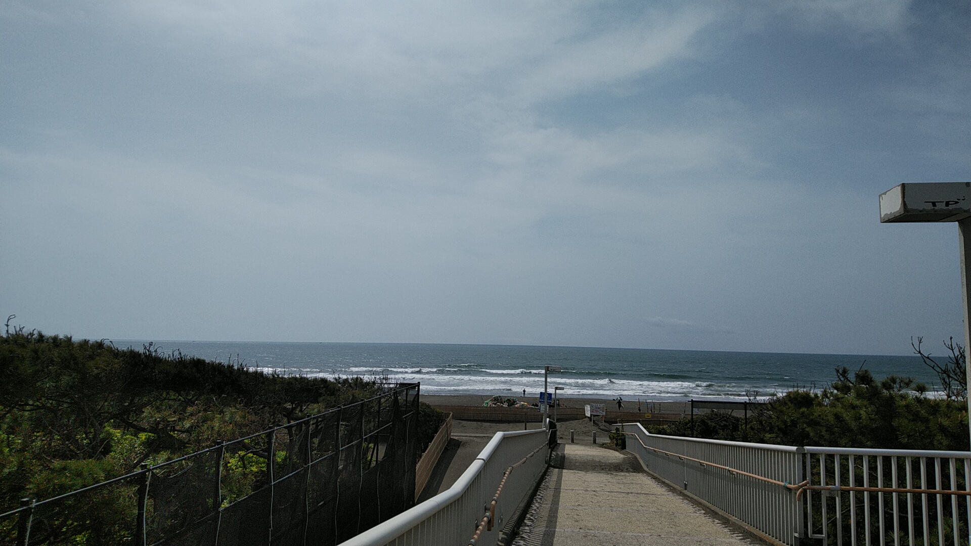 20220331  DSC_0001.jpg