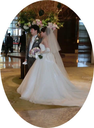 CIMG6971-crop.JPG