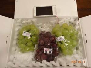 DSC04312 (300x225).jpg