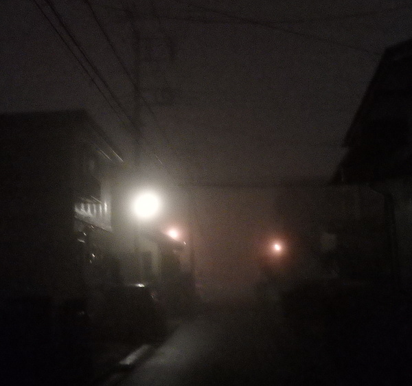 003.JPG