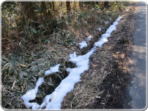 2568峠の残雪_2568.jpg