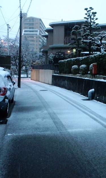 46 春日井の雪.jpg