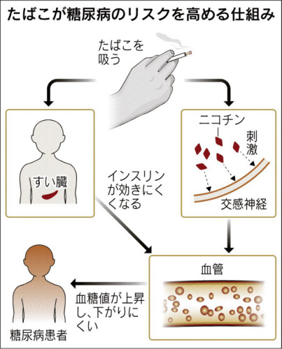 喫煙と糖尿病リスク.jpg