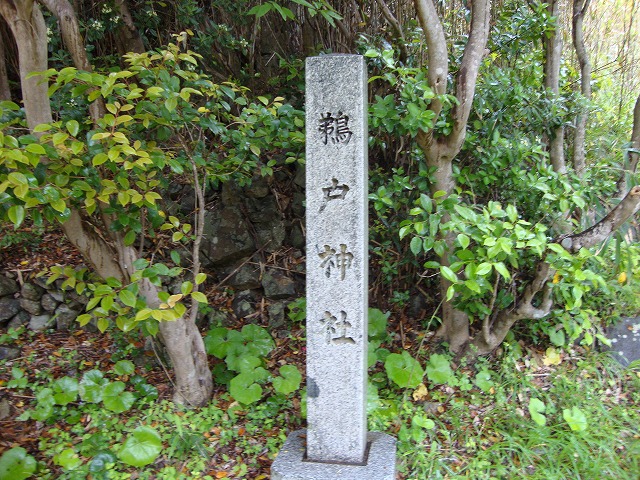 DSC01412.jpg