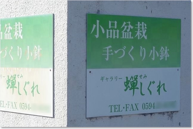 98盆栽ギャラリー？R