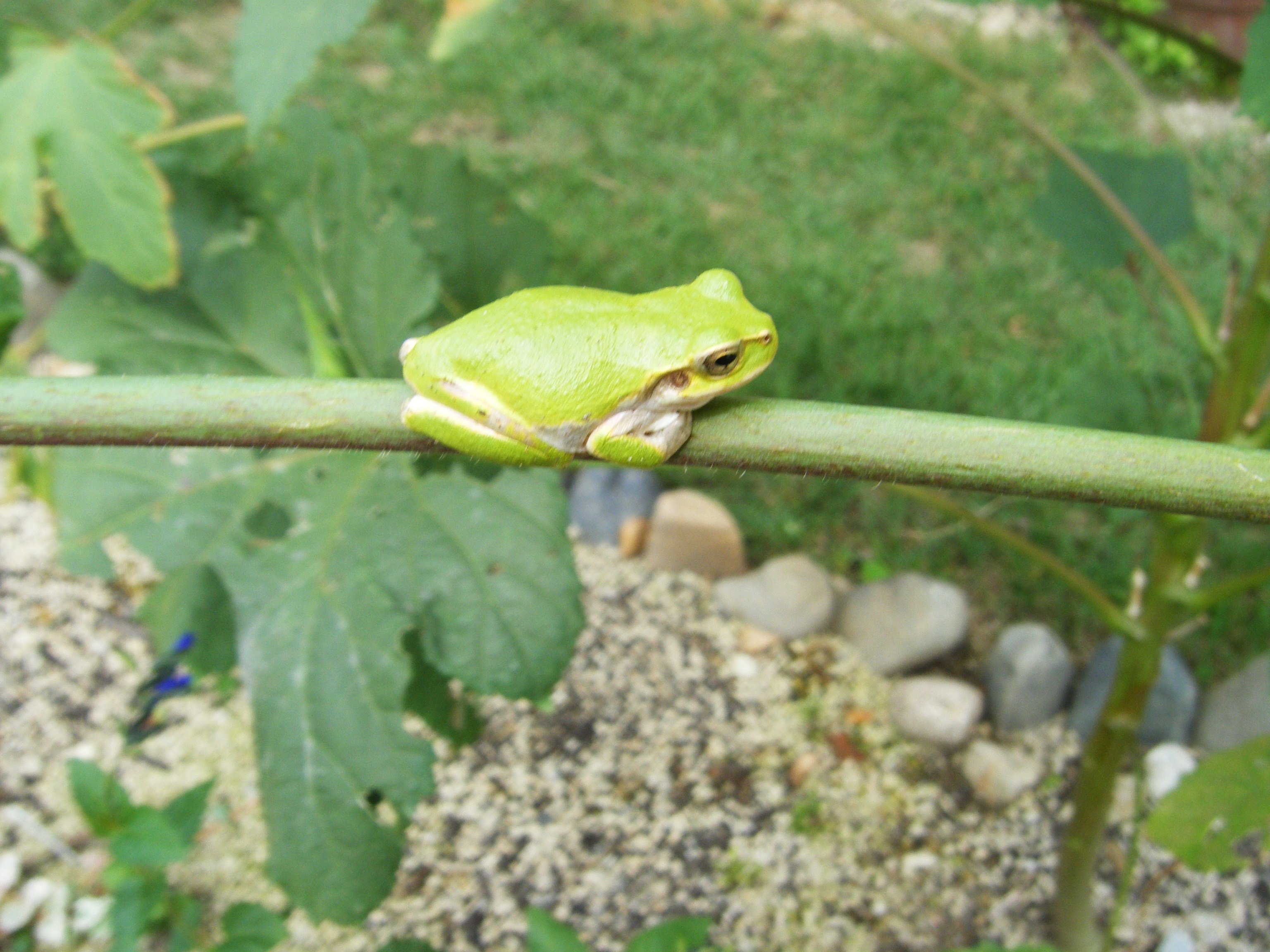 DSCF0579.jpg