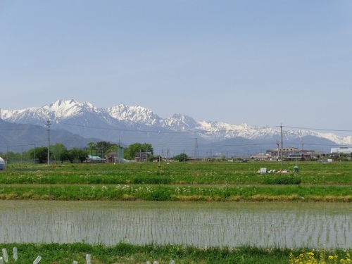 3池田の山-2.JPG