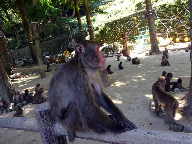 芋の時間 (4).JPG