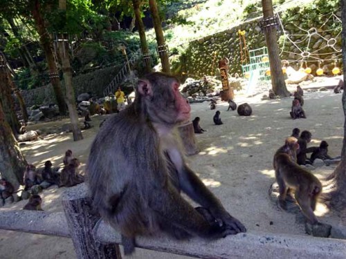 芋の時間 (4).JPG