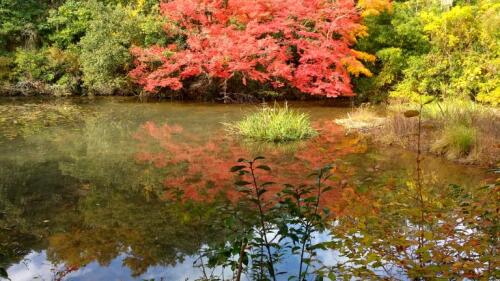 八十八か所お山めぐり (16).jpg