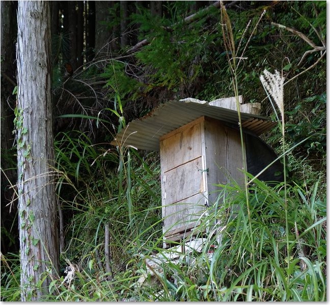 72何でしょう？