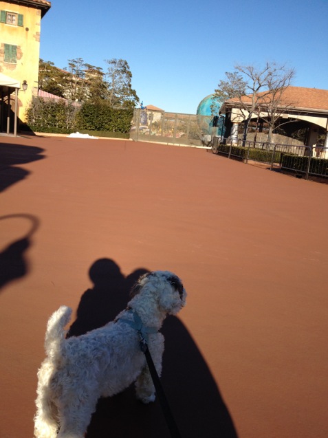 201301180943_4874_iphone.jpg
