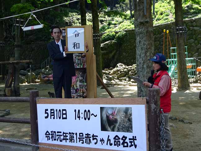 命名　レイワ (9).JPG