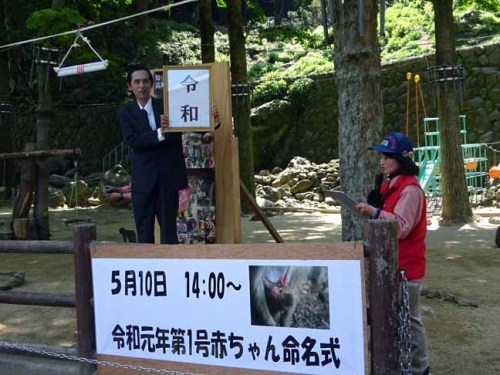 命名　レイワ (9).JPG