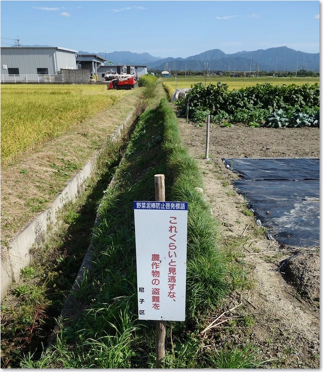 06見逃すな盗難を