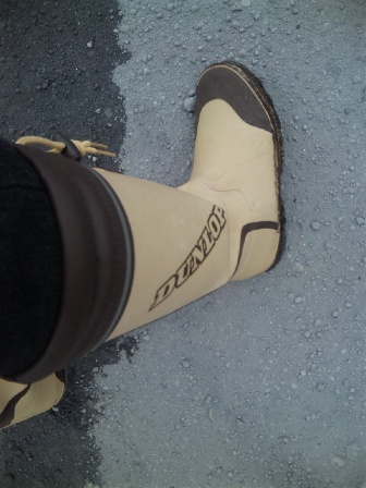 2013-3 029-1.jpg