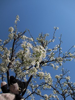 IMG_5980.jpg