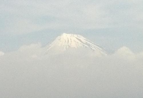 富士山(新富士).jpg