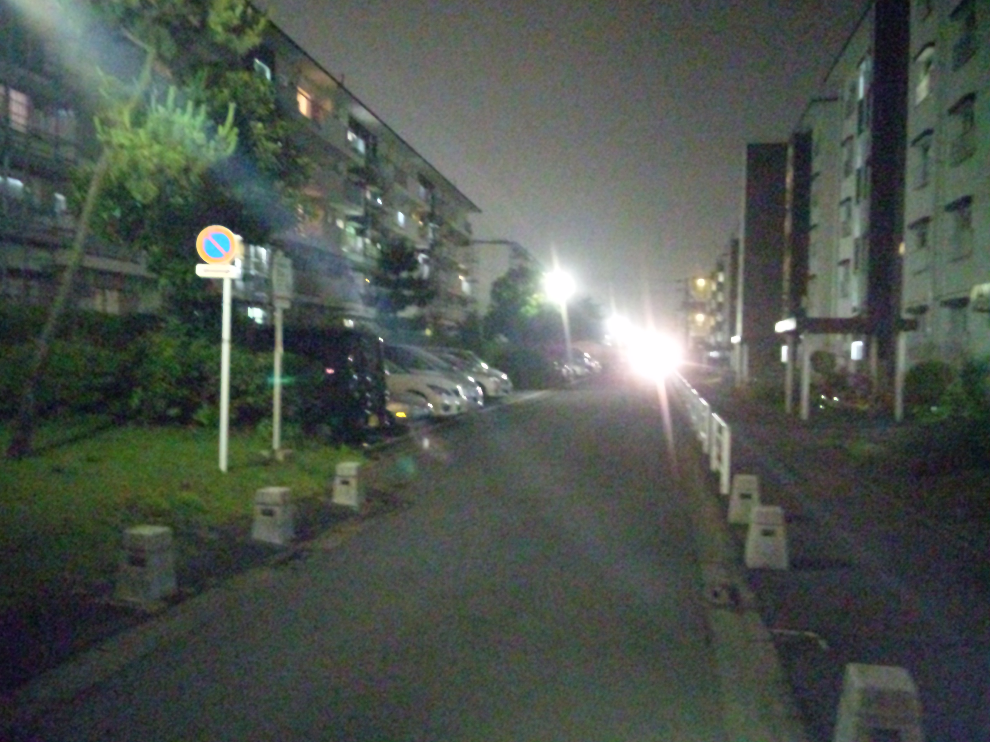 DVC00001  20120622.JPG