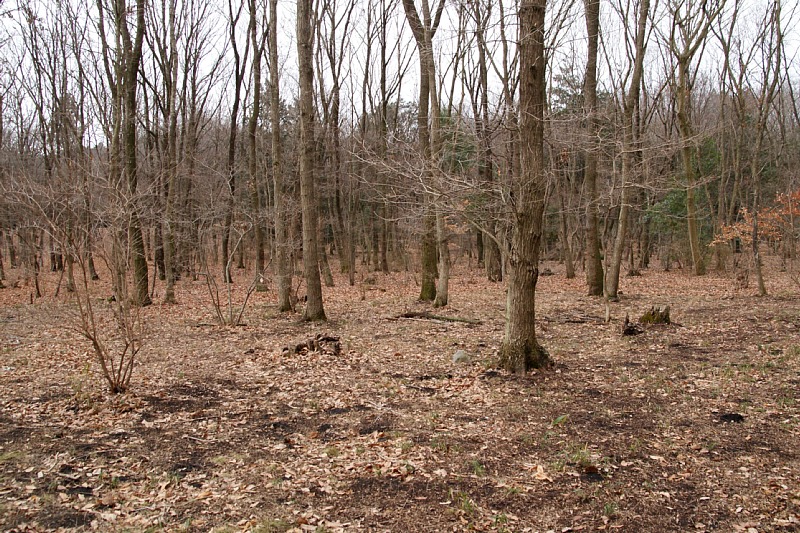 03010-1.jpg