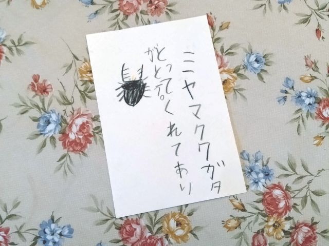 240819letter.jpg