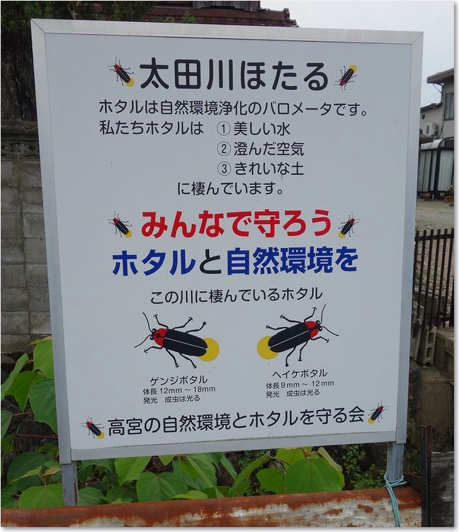 07大田川ほたる