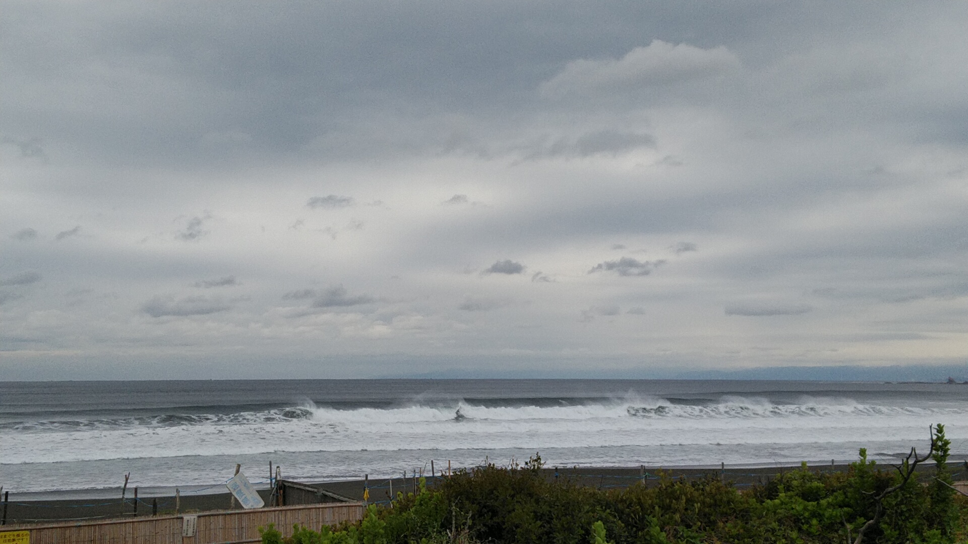 20220416  DSC_0001.jpg