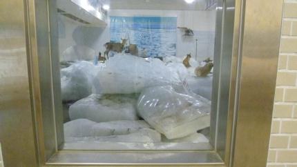 dohokunotabi2012.7.16-souyamisaki-ryuhyo-a.jpg