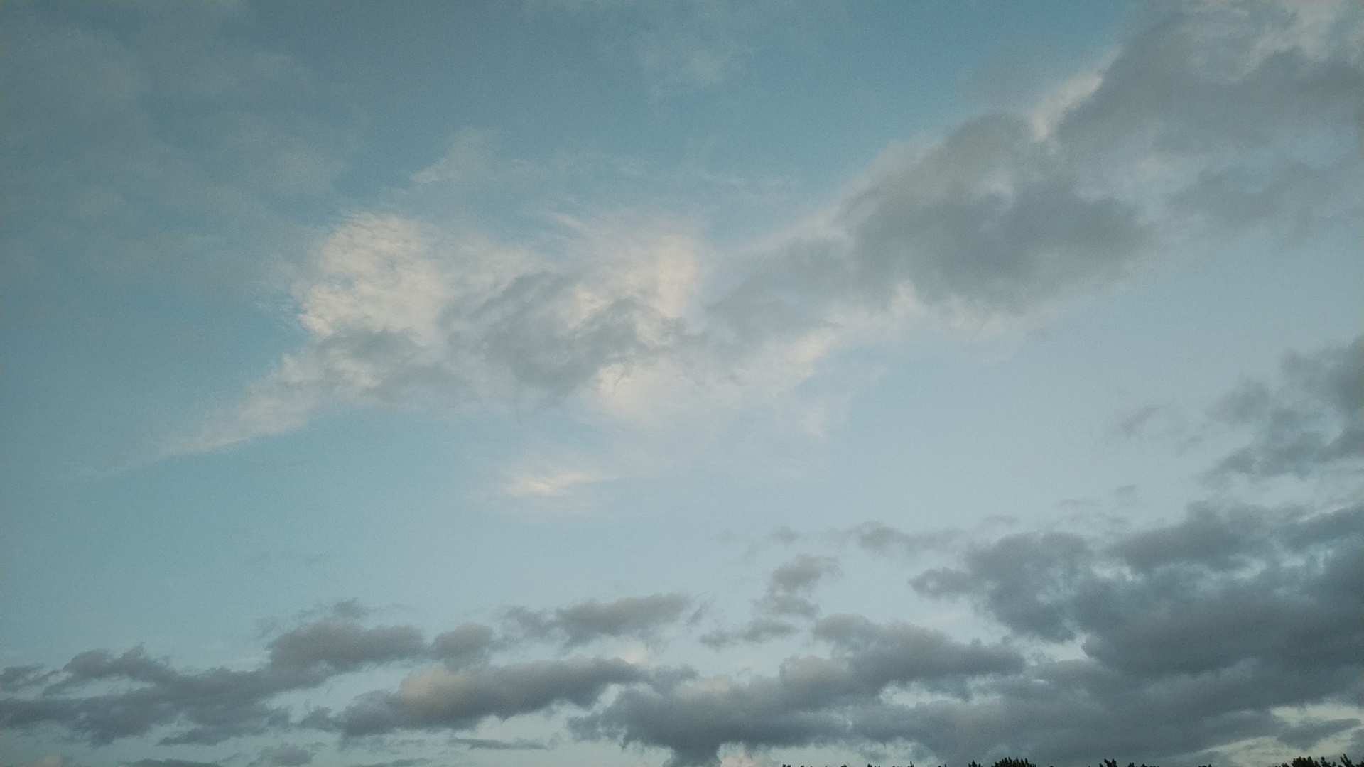 20190811  DSC_0001.jpg.jpg