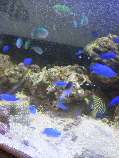 DSC_2598.jpg
