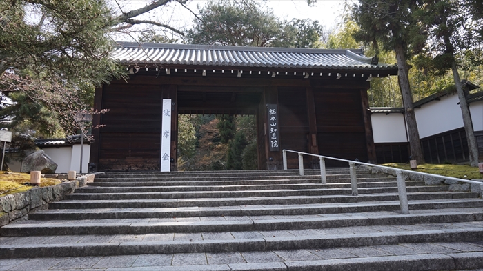 20160323 10492501.JPG