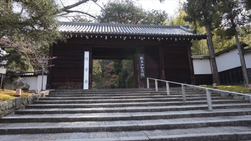 20160323 10492501.JPG